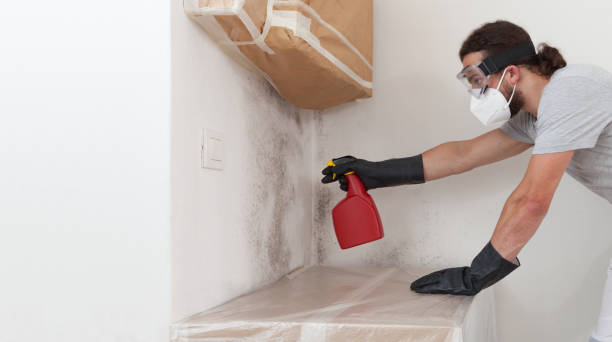Professional Attic Mold Remediation technician working in Lexington, NC