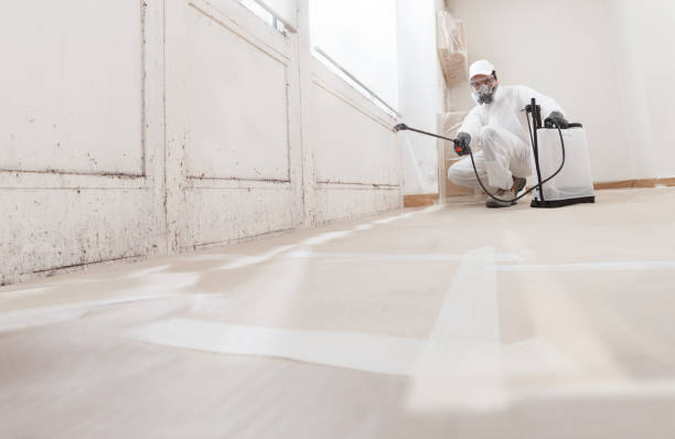 24/7 Emergency Attic Mold Remediation experts in Lexington, NC