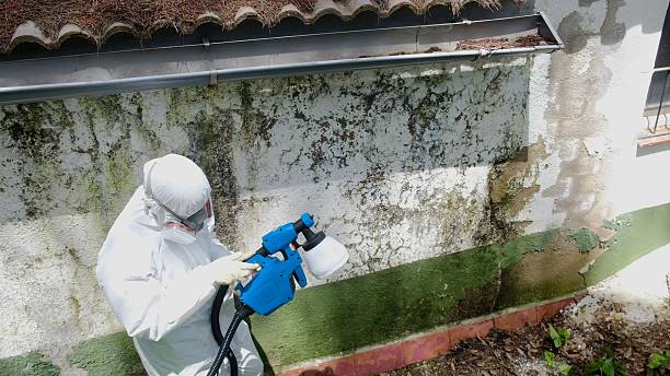 Top rated local Attic Mold Remediation specialists in Lexington, NC